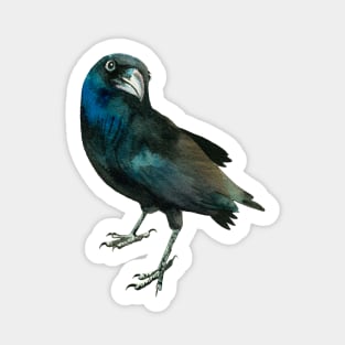 Over the Shoulder Crow Sticker